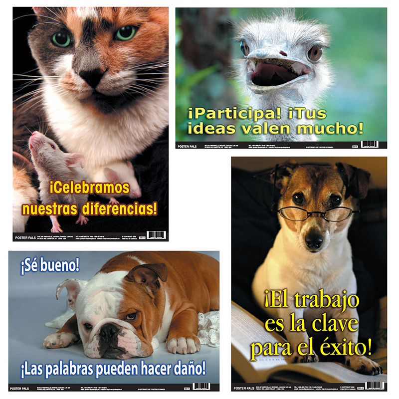 Spanish Fun Photo Posters Set 10