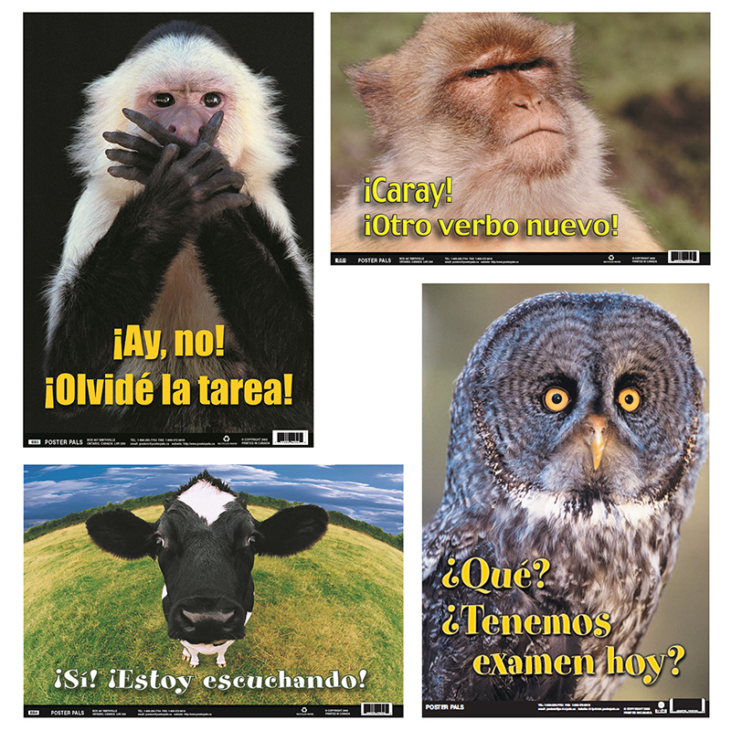 Spanish Fun Photo Posters Set 5