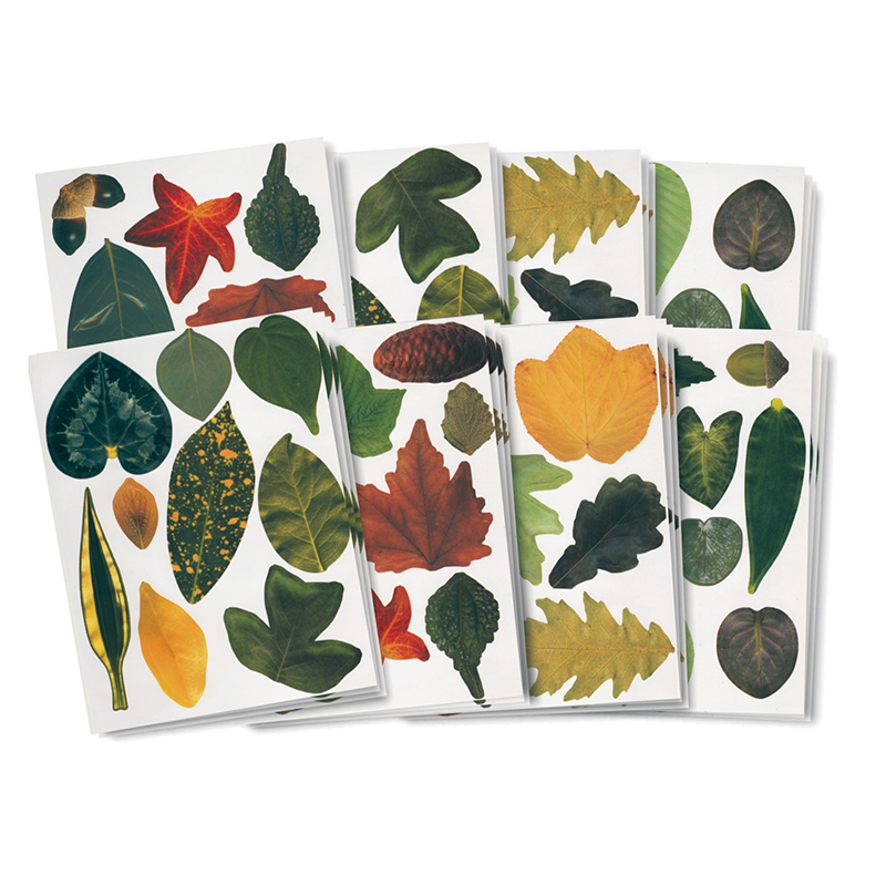 (2 Pk) Paper Leaves