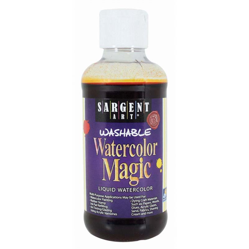(6 Ea) Watercolor Magic Orange 8oz