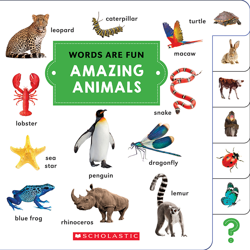 Words Are Fun Amazing Animals