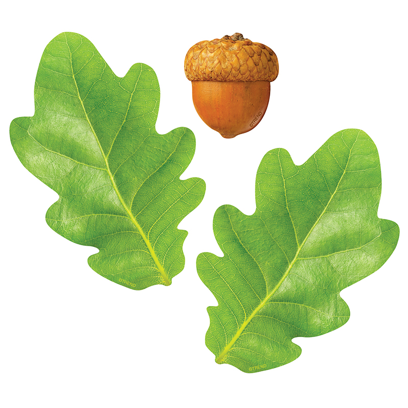Oak Leaves/Acorns Classic Accents