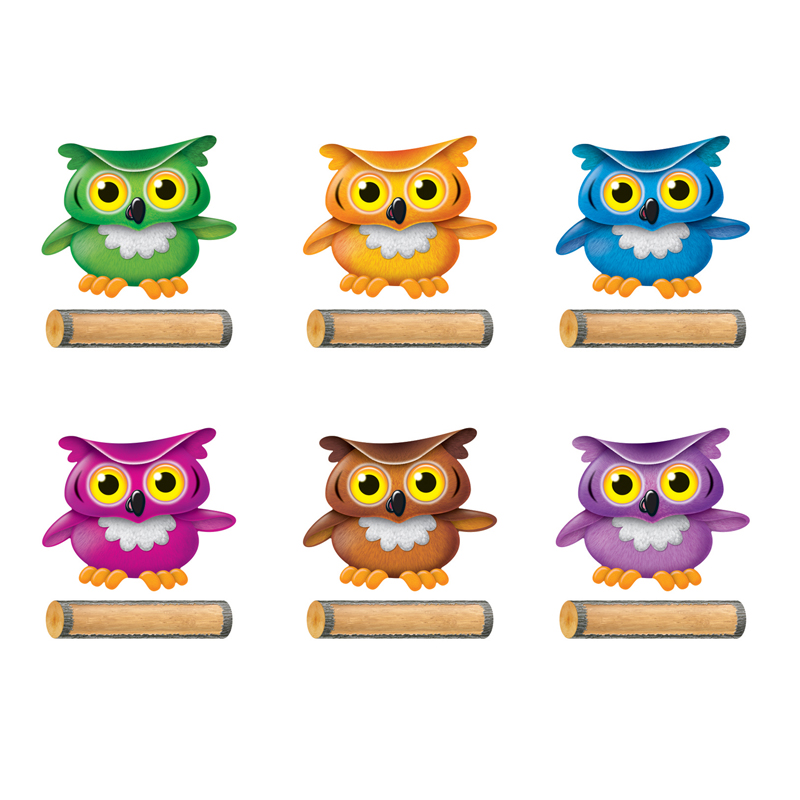 Bright Owl Class Accents Variety Pk