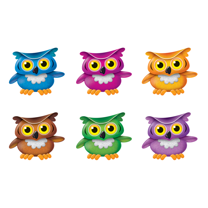 Bright Owls Mini Accents Variety Pk