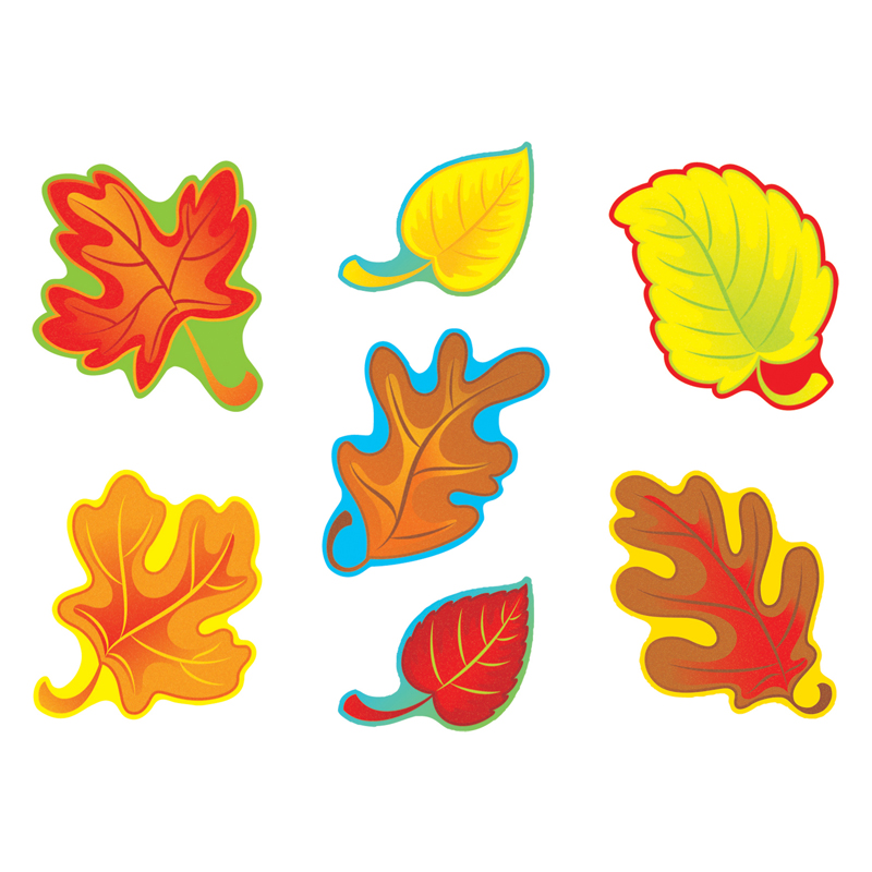 (6 Pk) Fall Leaves Variety Pk