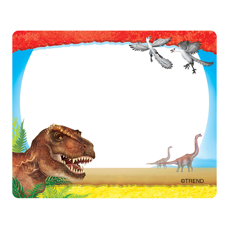 (6 Pk) Discovering Dinosaurs Name