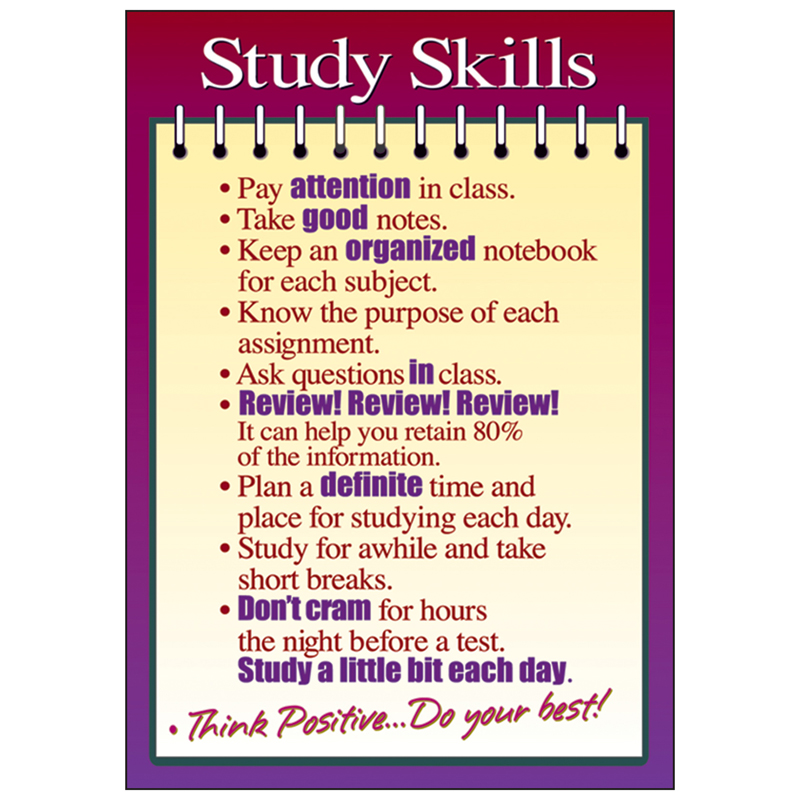 Poster Study Skills 13 X 19 Large