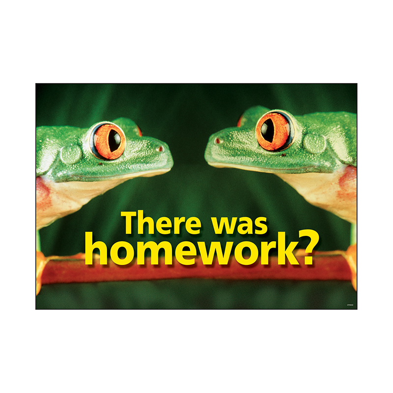Poster There Was Homework 13x19