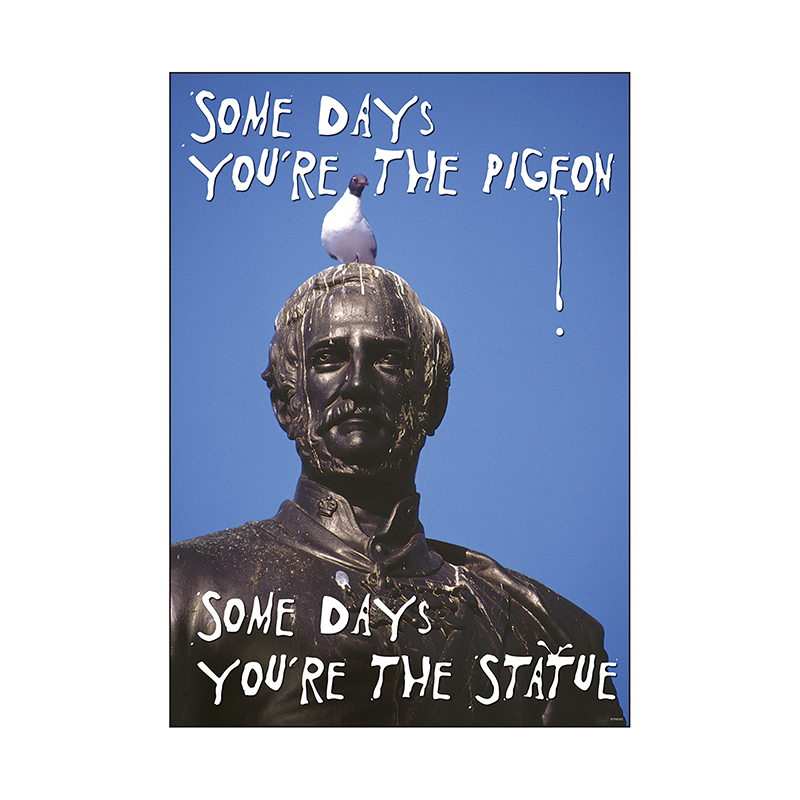 Poster Some Days Youre The Pigeon