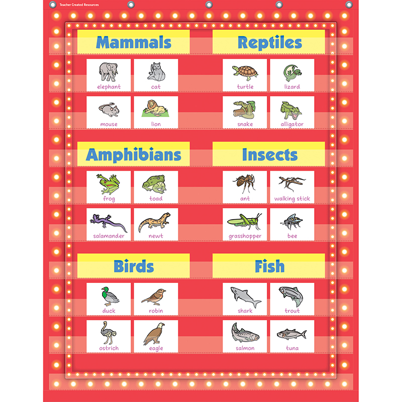34 X 44in Red Marquee Pocket Chart