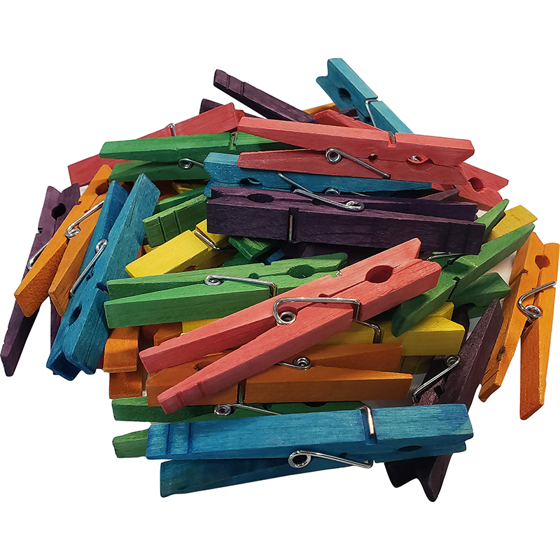 Stem Basics Multicolor Clothespins