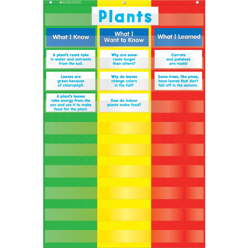 3 Column Chart Pocket Chart