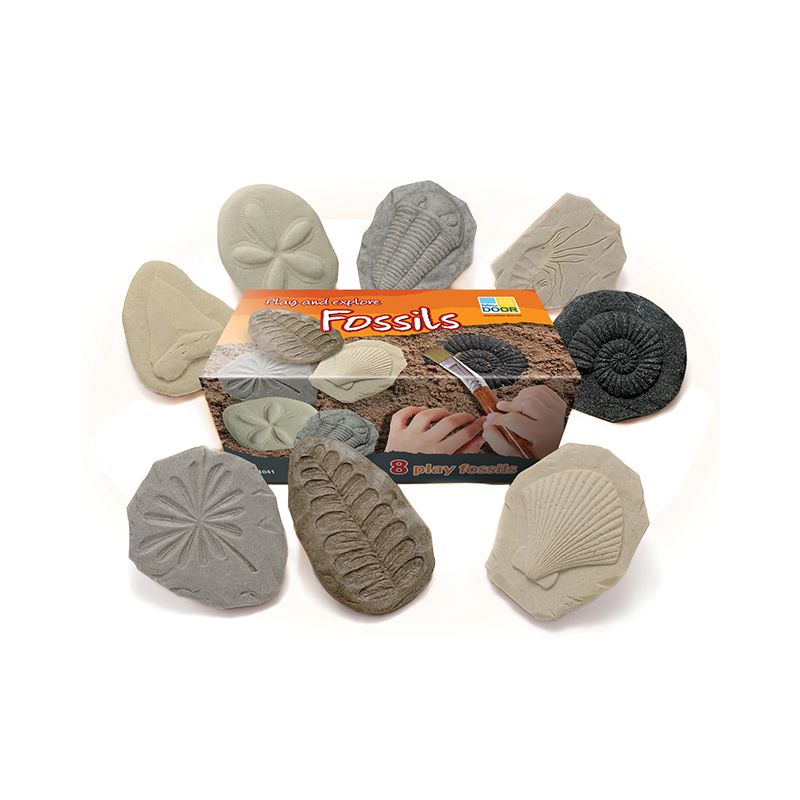 Play And Explore Fossils